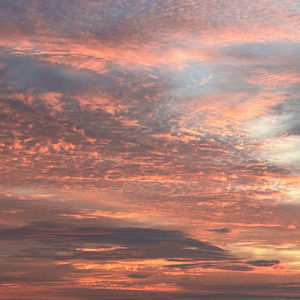 Meet your Posher, Jen